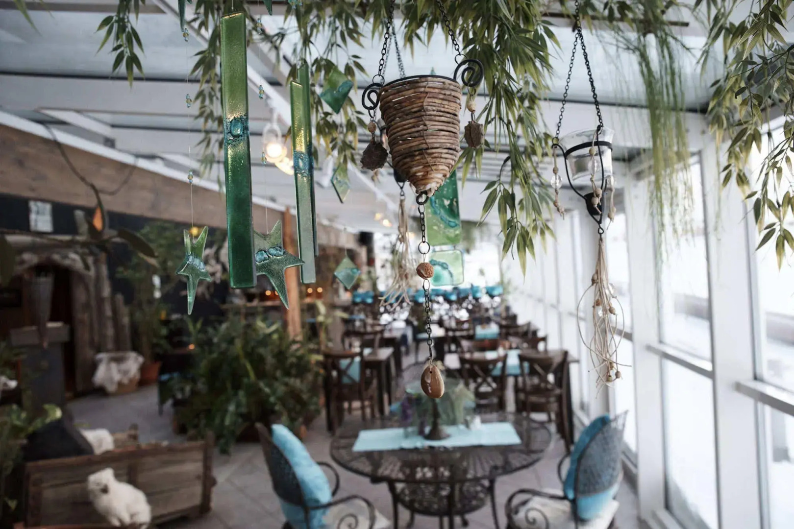 Mary-Ann's Polarrigg