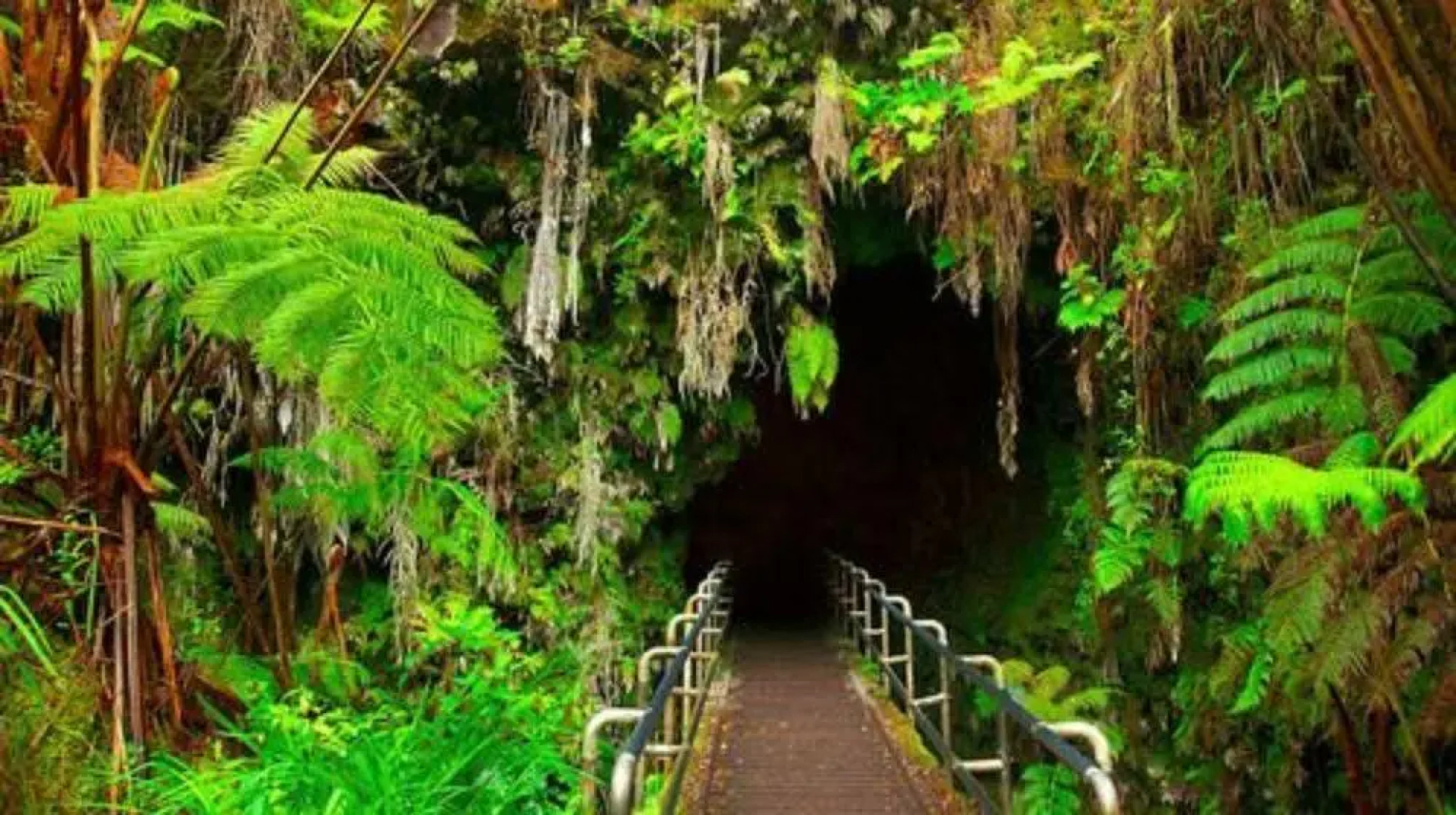 Volcano Park Rentals