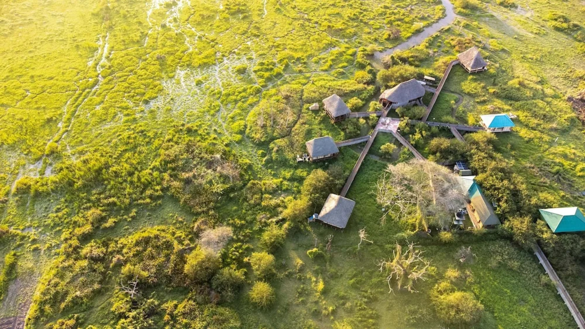 Little Okavango Camp Serengeti