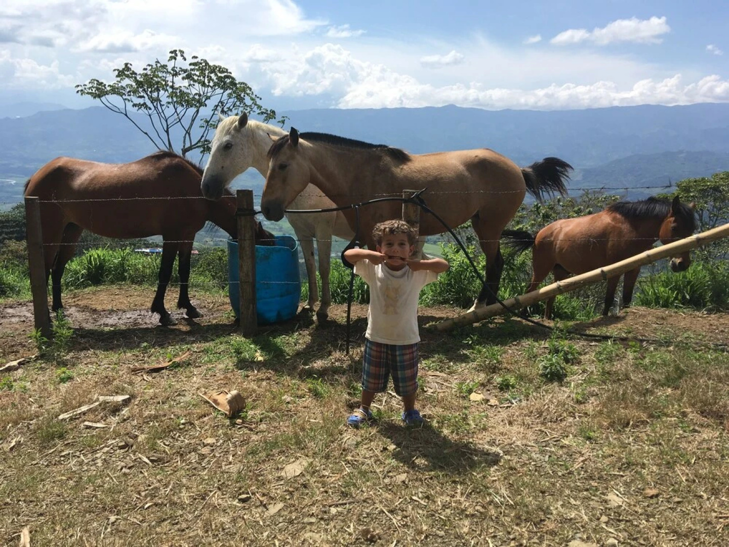 Finca Hotel Los Guayacanes