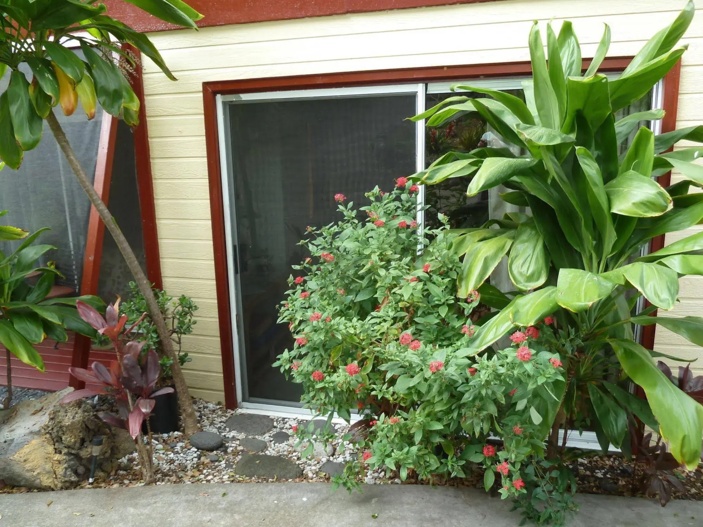 Banyan Tree Sanctuary