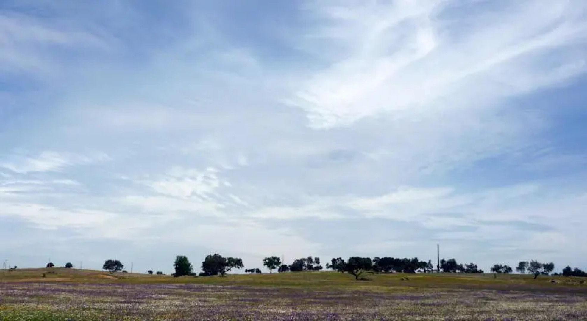 Horta da Lameira - Agroturismo