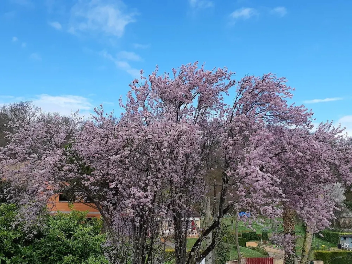 Camping Le Plan d'Eau Saint Charles