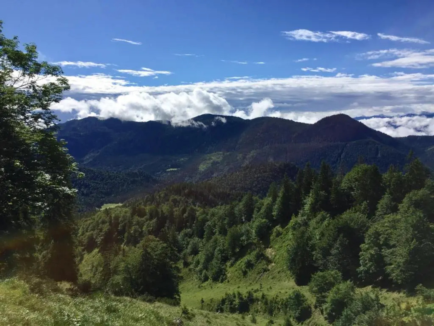Ferienwohnung Almflair Chalet