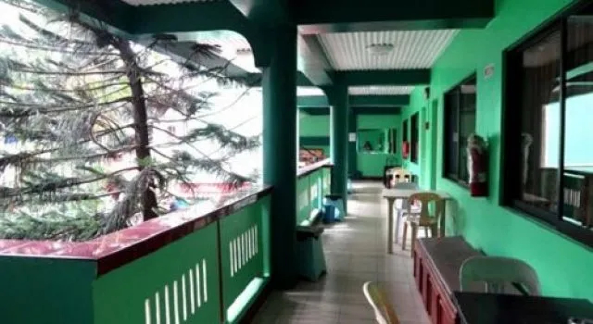 Starfire Resort (Main Building)