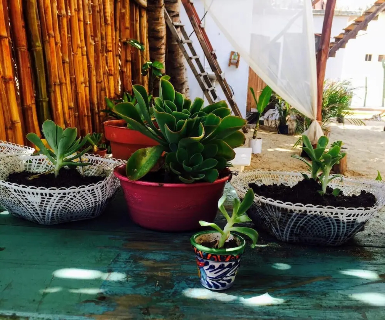 Casa Demetria Friendly