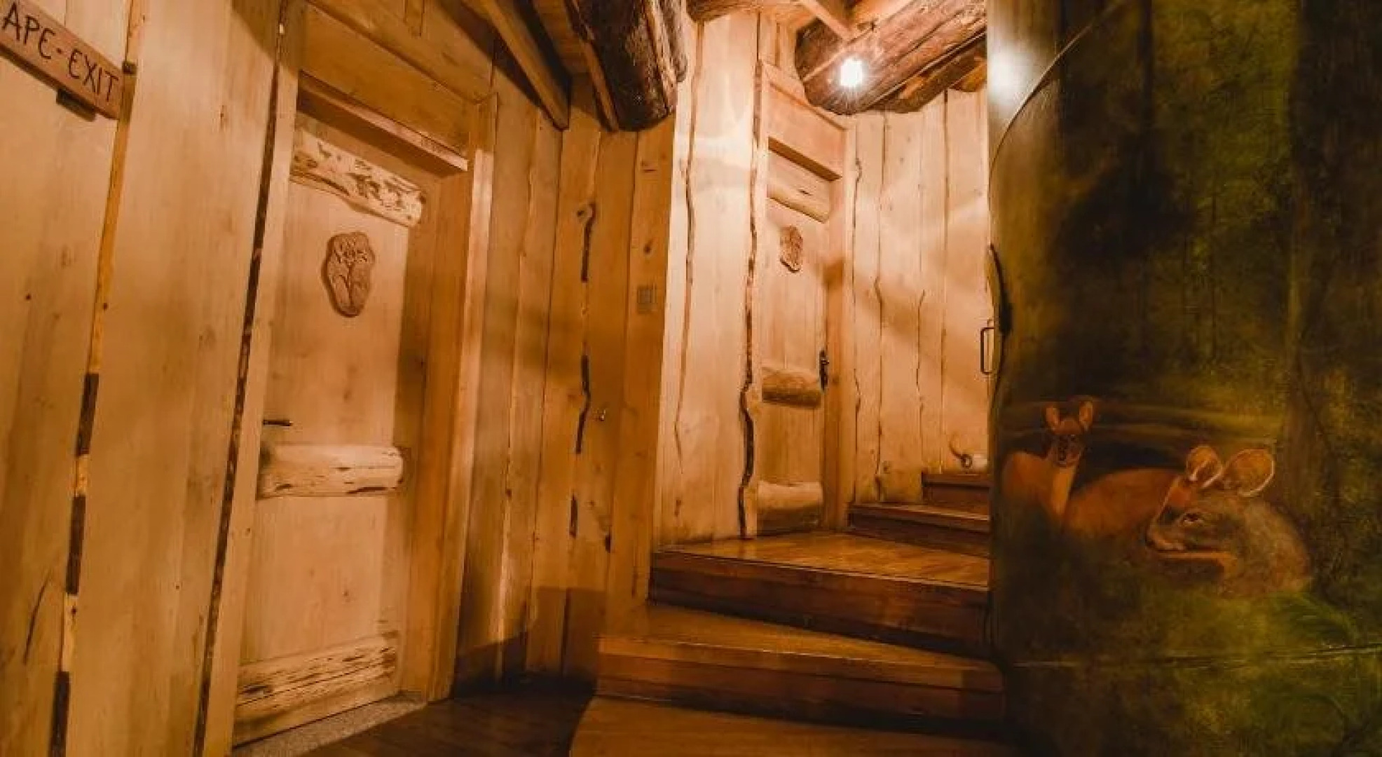 Huilo Huilo Montaña Magica