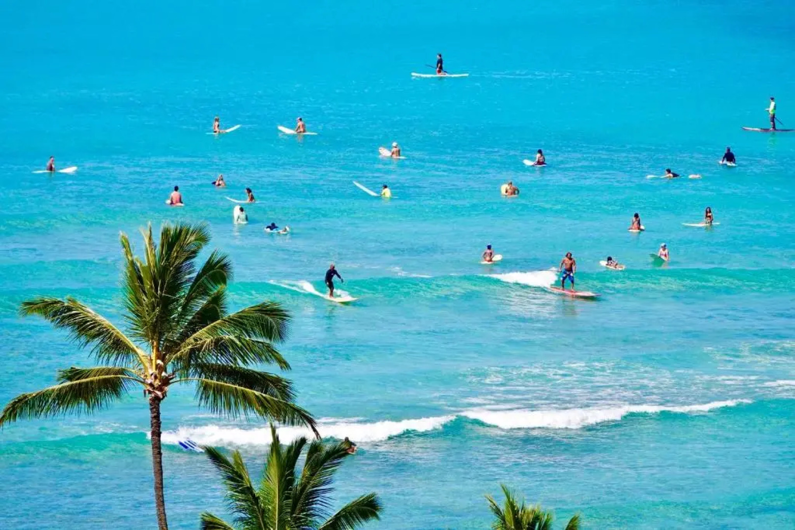 Jenny's Pineapple Cottage