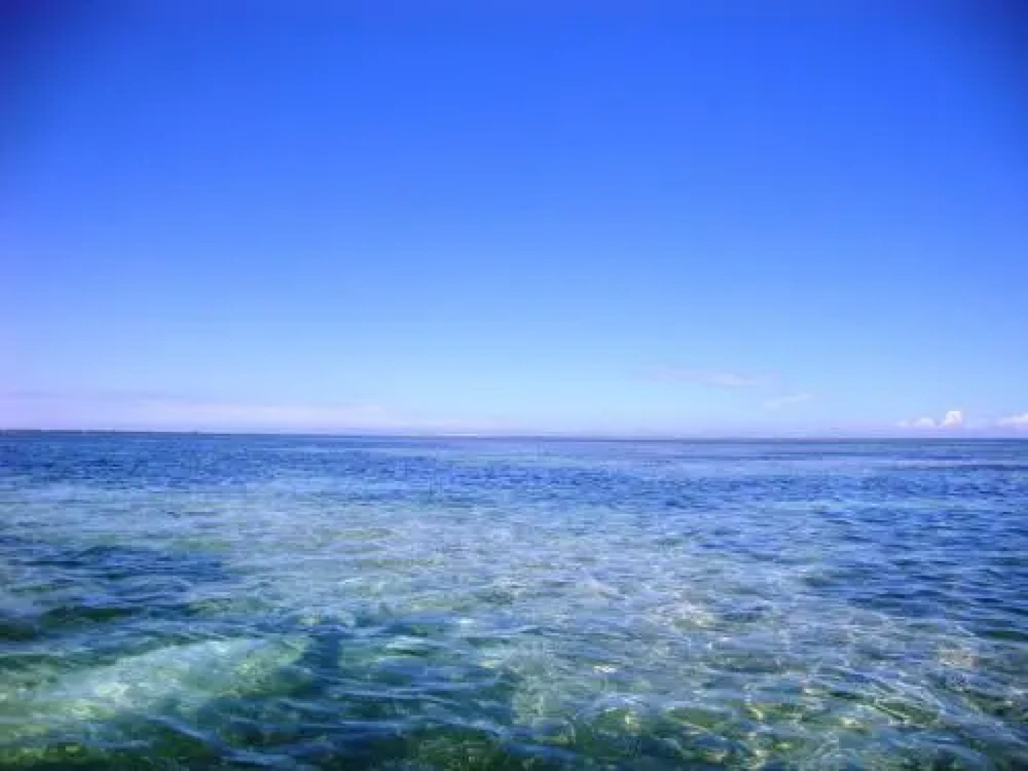 Adansonia Village Resort