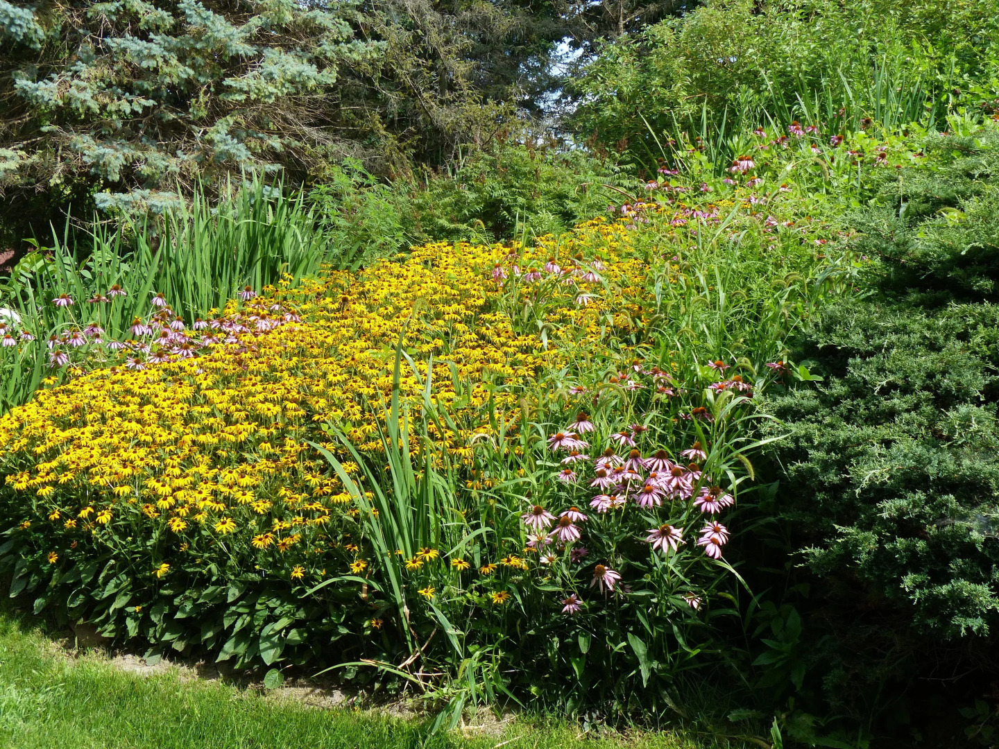 Cloran Mansion Bed & Breakfast