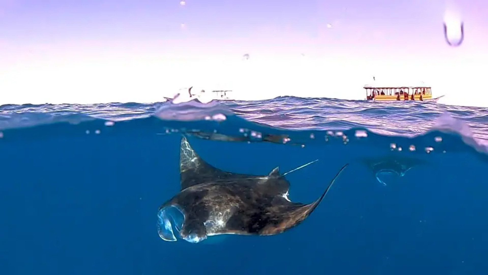 Daisy Cottage Dhangethi