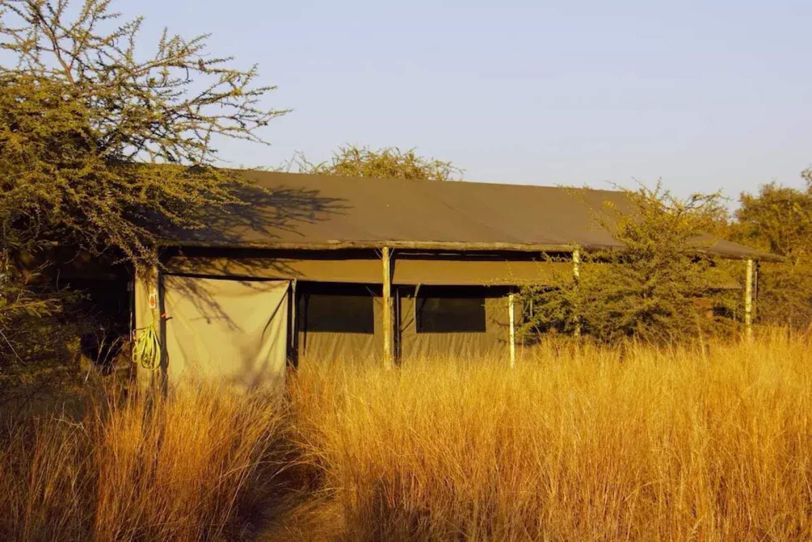 Thorn Tree Bush Camp