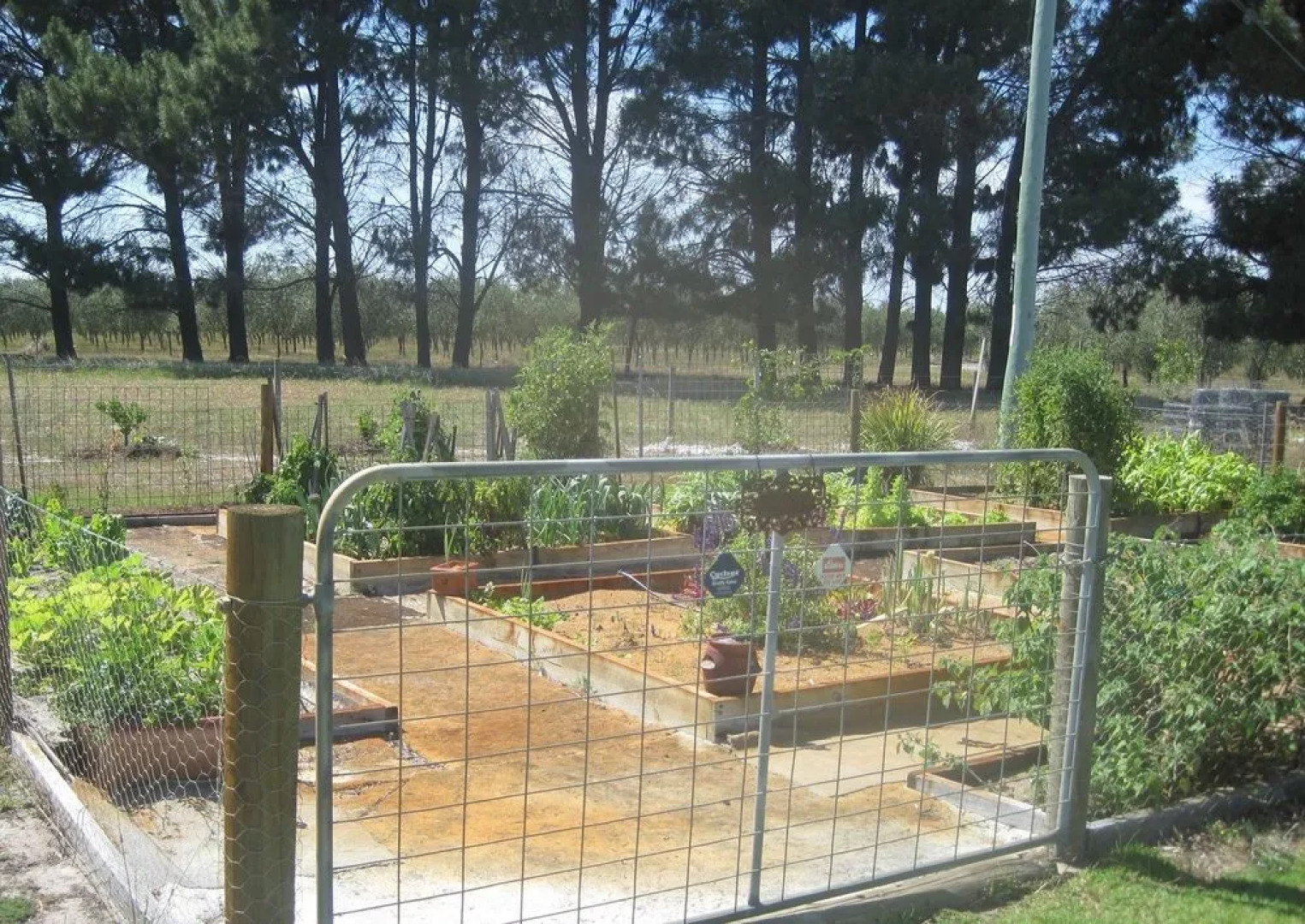 Sandy Lake Farm - Bed & Breakfast