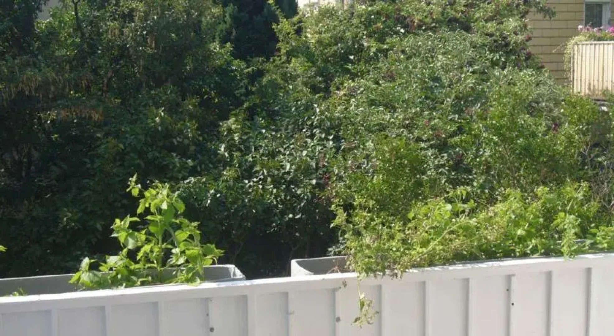 Feel at Home Apartment