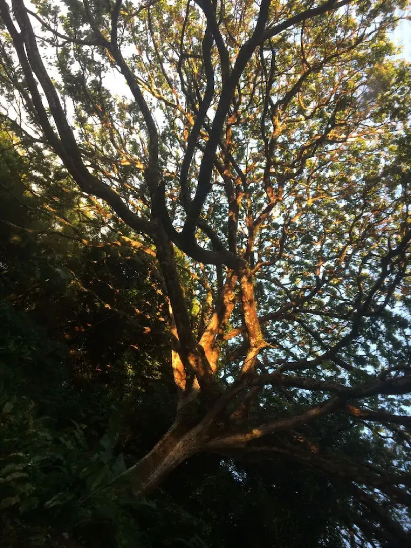 SweetSpotStay-Enchanted Grotto