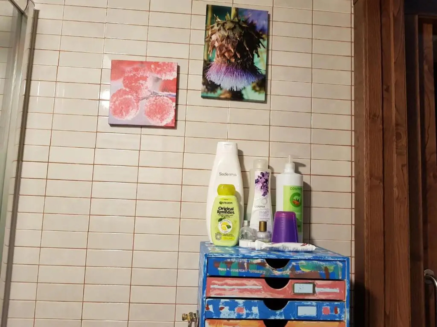 Apartamentos Rosa Jove