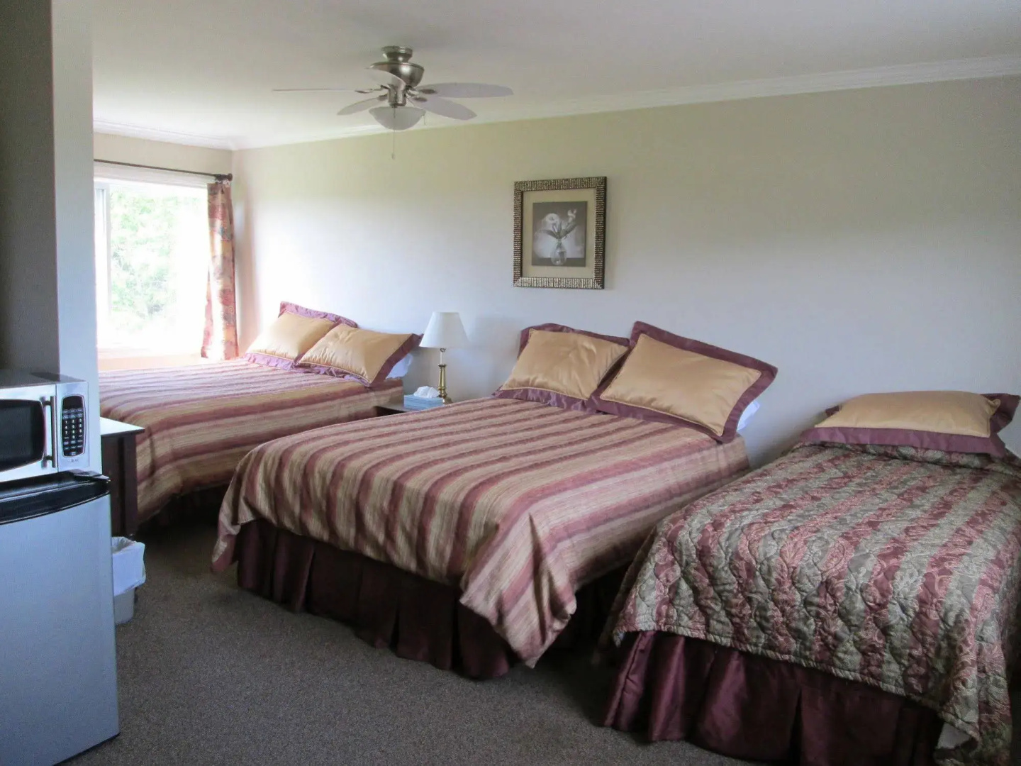 Scenic Motel Moncton