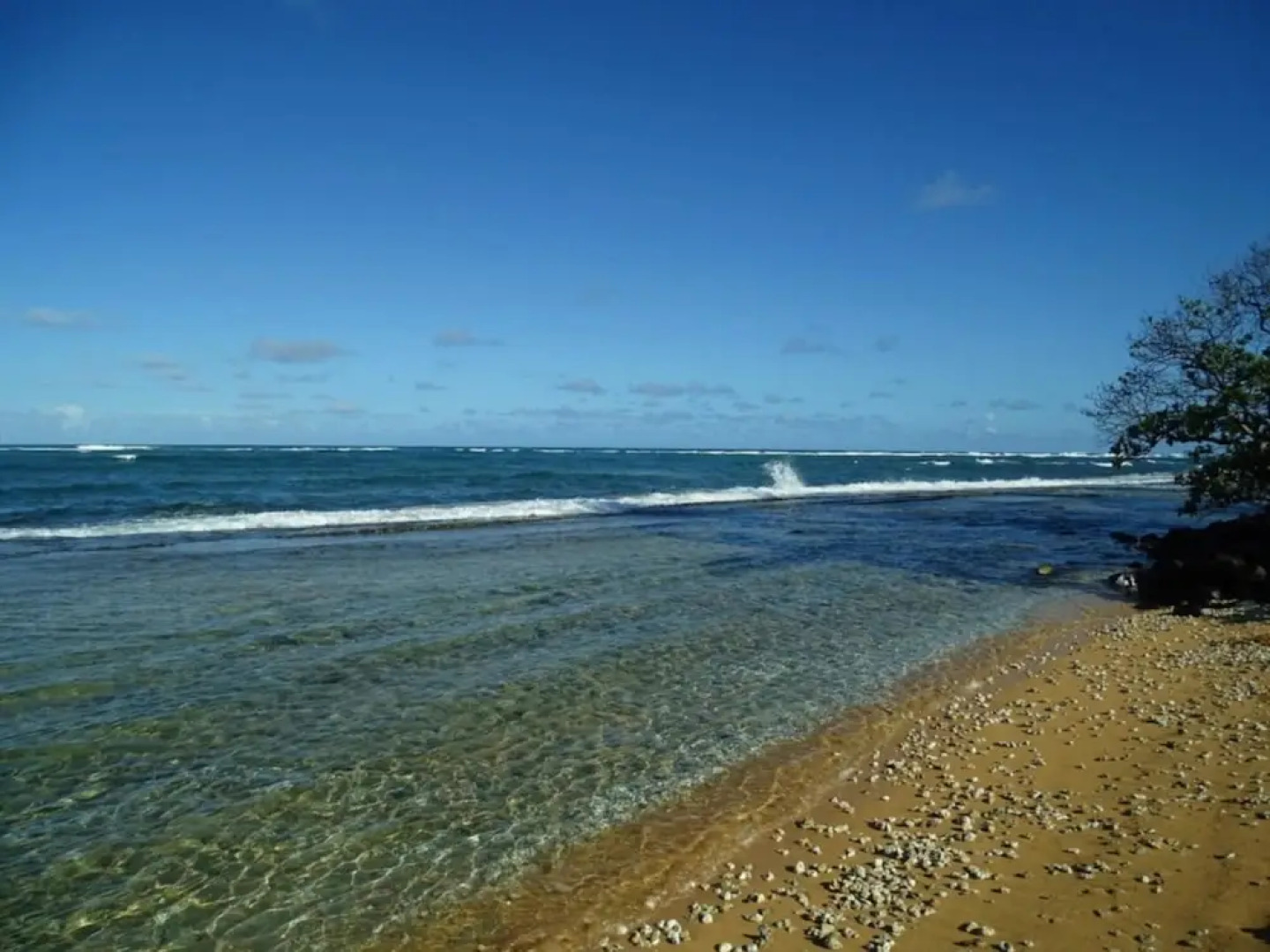 Kapaa Shore 117 by RedAwning