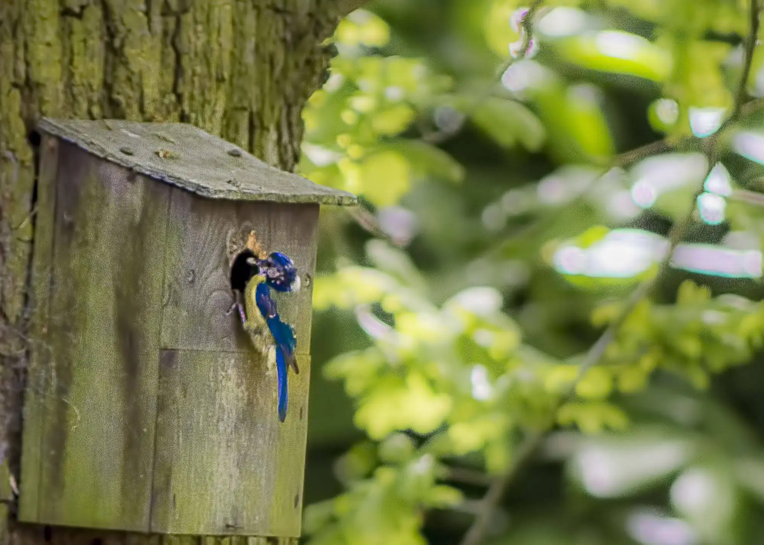 Pretty Maid House B&B