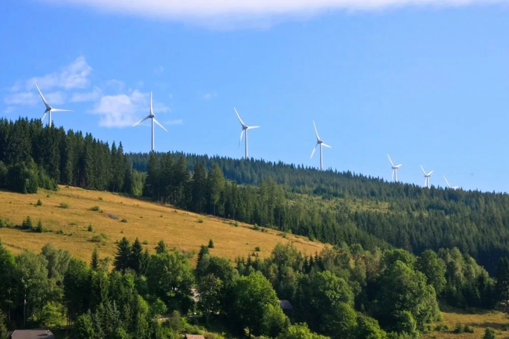 Genussgasthof Willenshofer