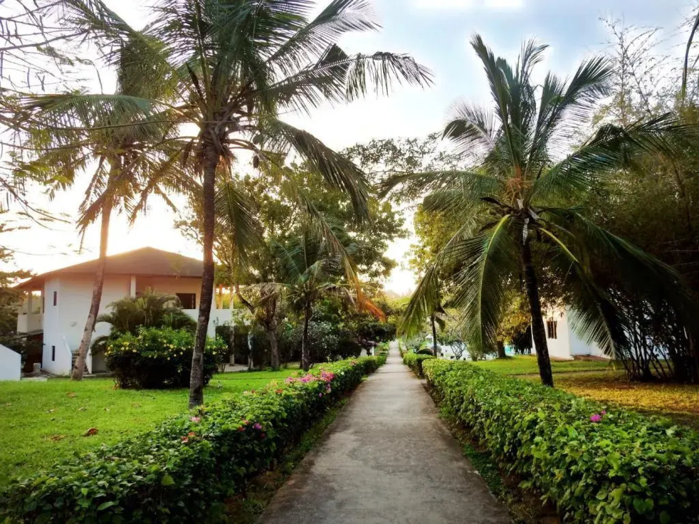 Gecko Resort
