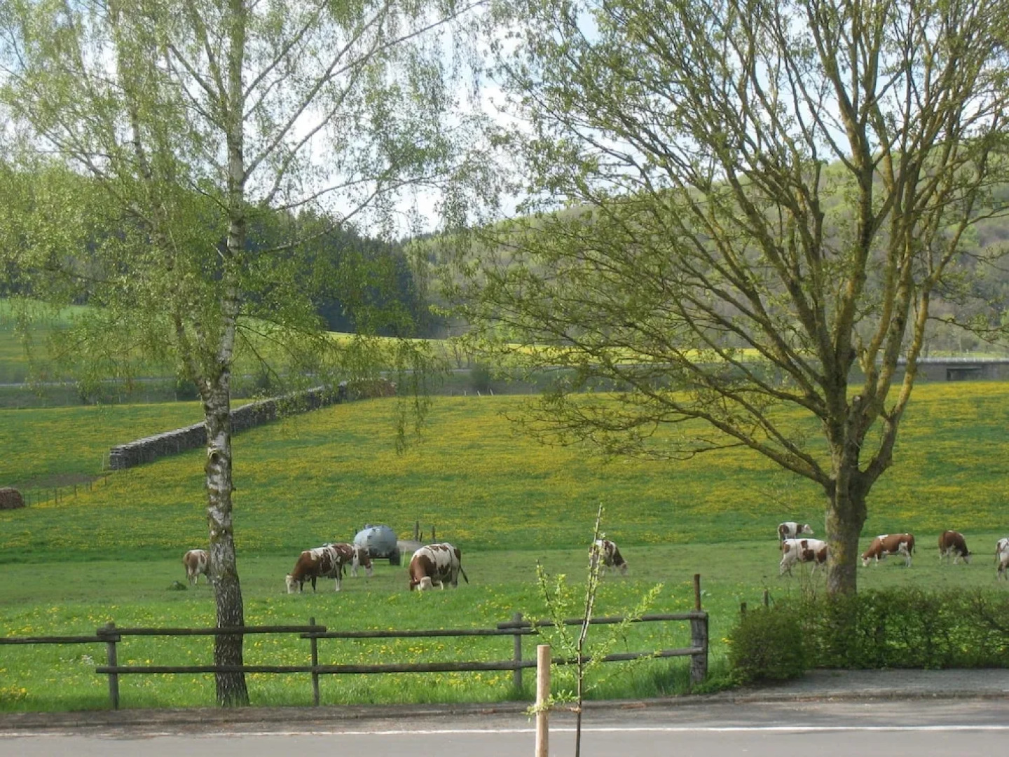 Luxurious Holiday Home in Oos Eifel with Sauna