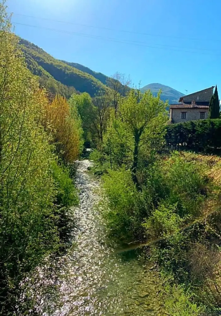 Serendipity Boutique Country House