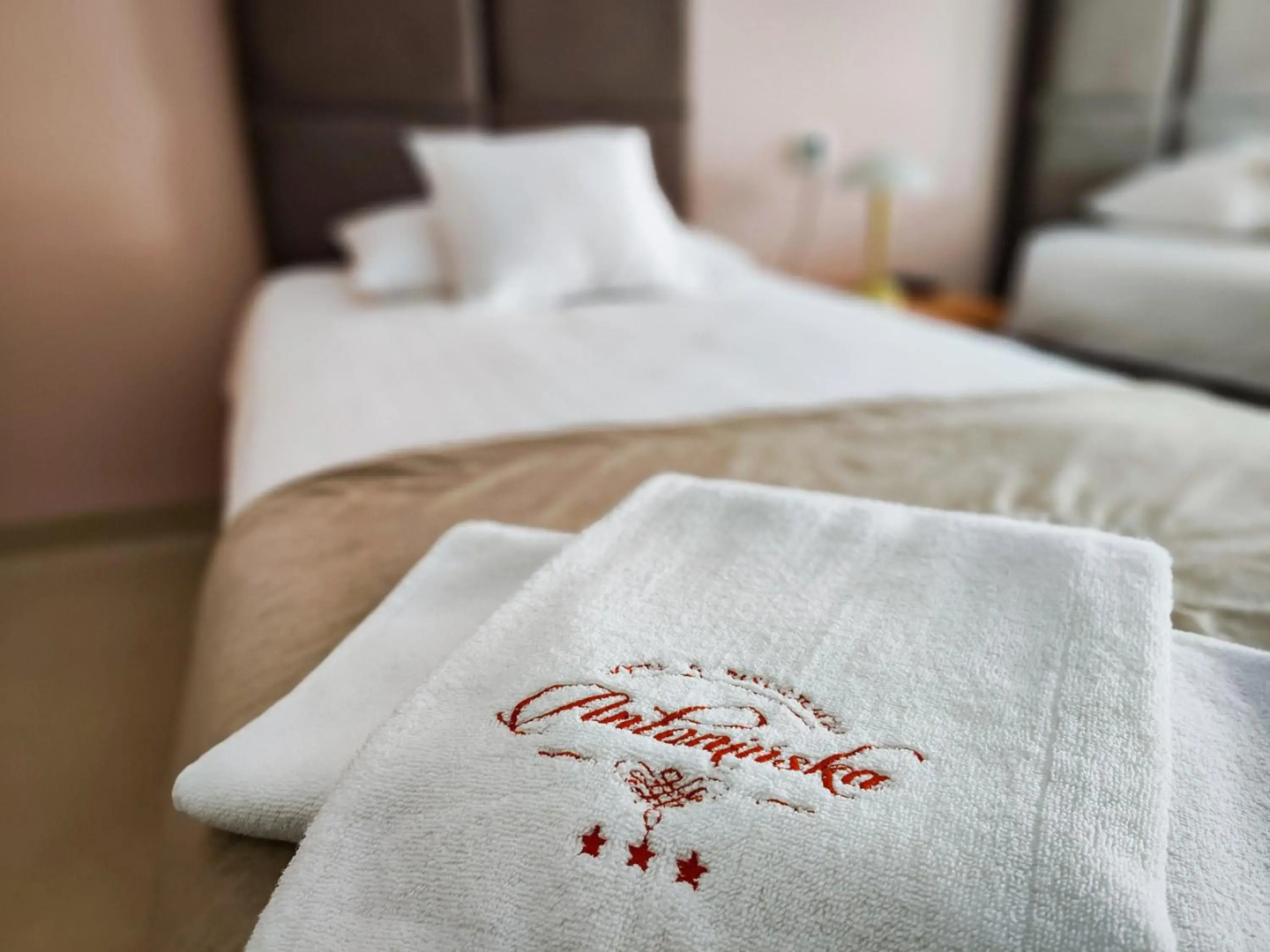 Hotel Antoninska