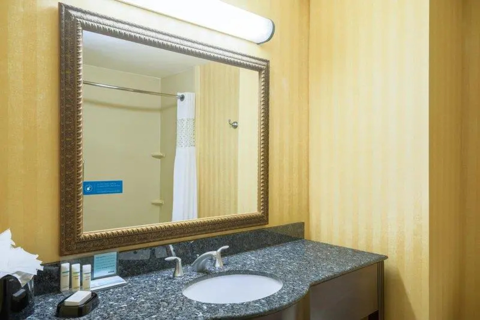 Hampton Inn Maysville