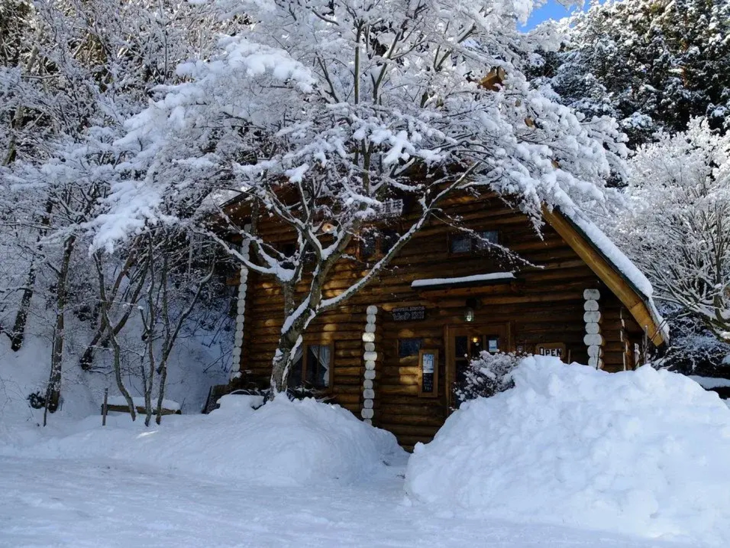 Log Home Pension Wood Inn