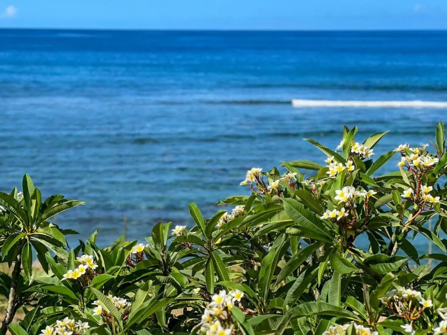 Le Pétrel Bleu - Appartement sur la plage des Tortues à Saint-Leu