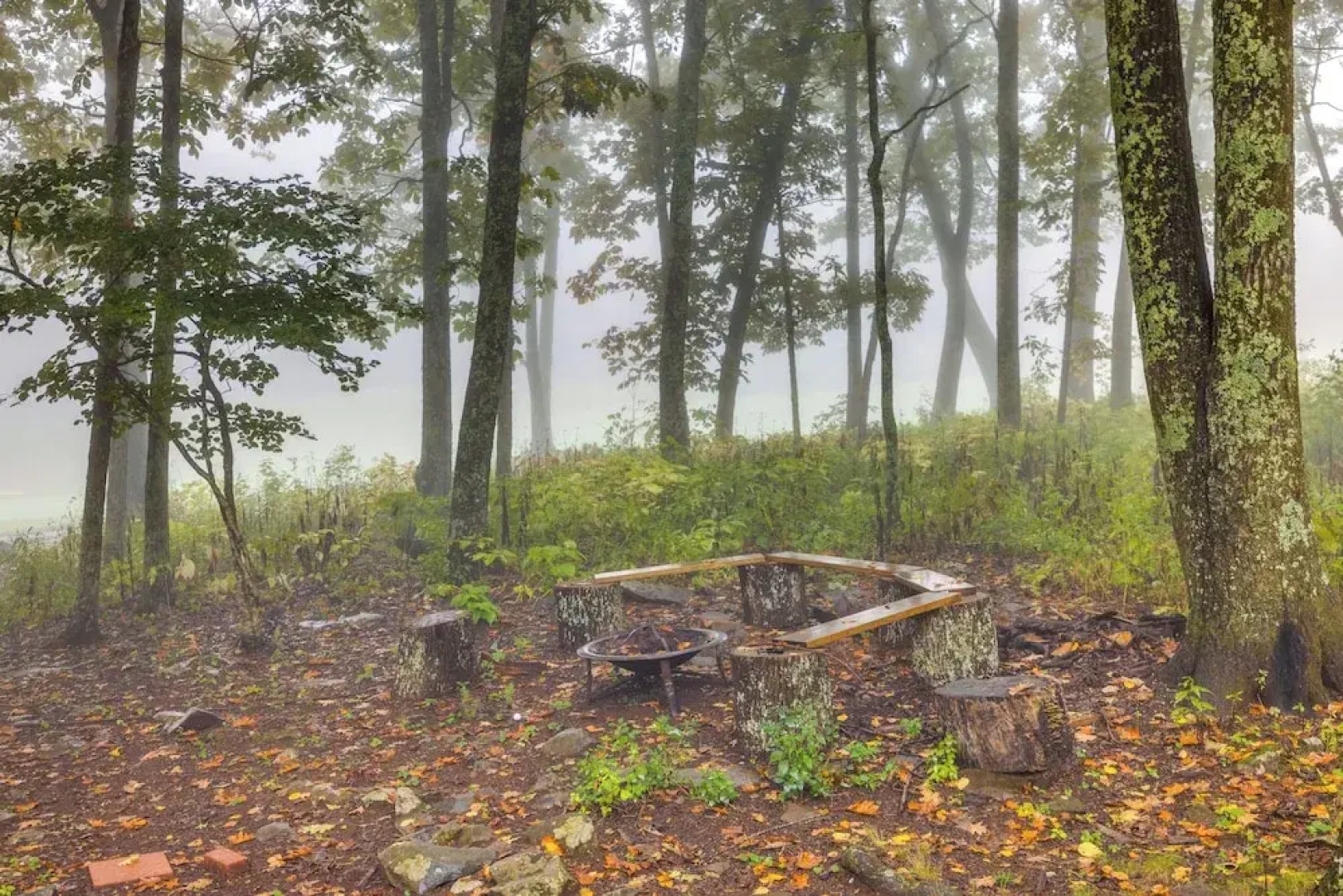Game Room & Fire Pit: Wintergreen Resort Home!