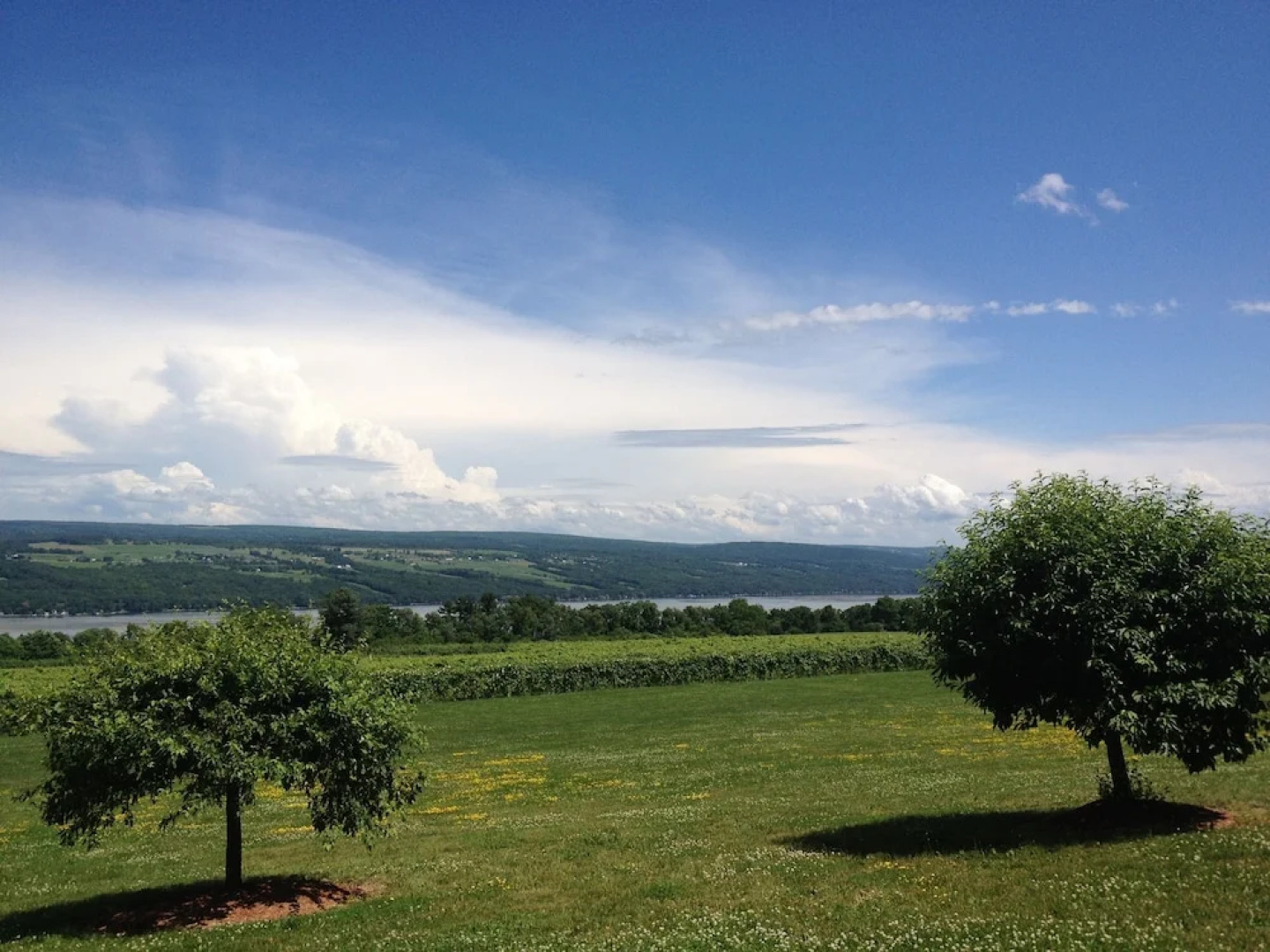 The Inn at Glenora Wine Cellars