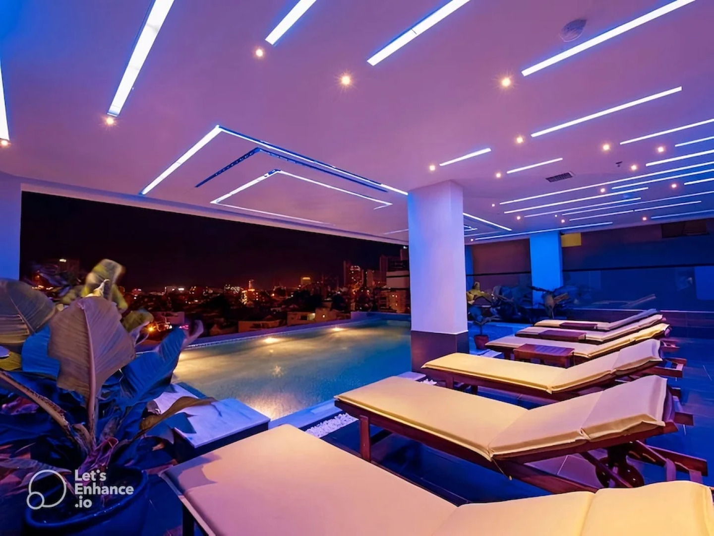 Daisy Flower Nha Trang