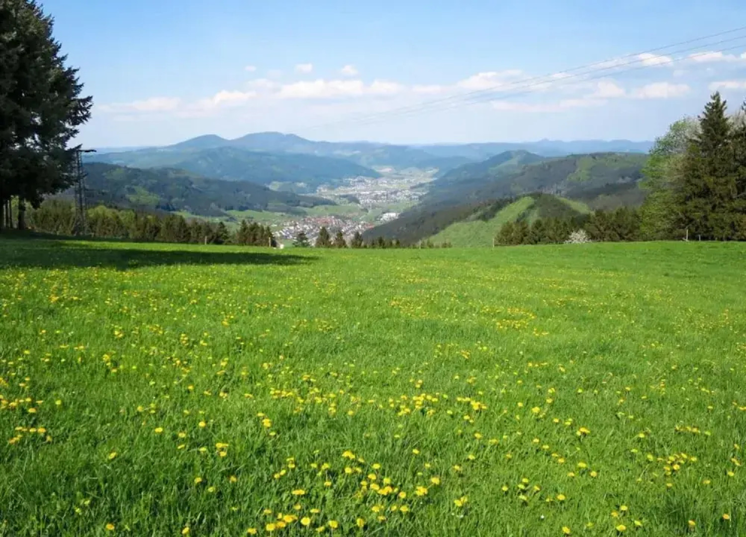 Cosy Farmhouse Apartment at the Edge of the Forest