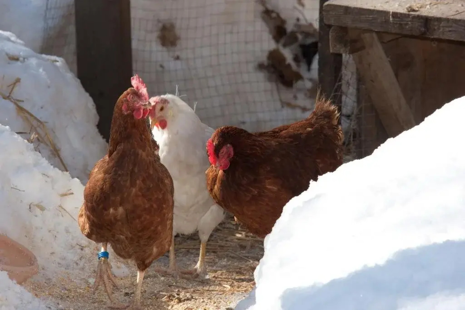 Apart Landhaus Ferrari