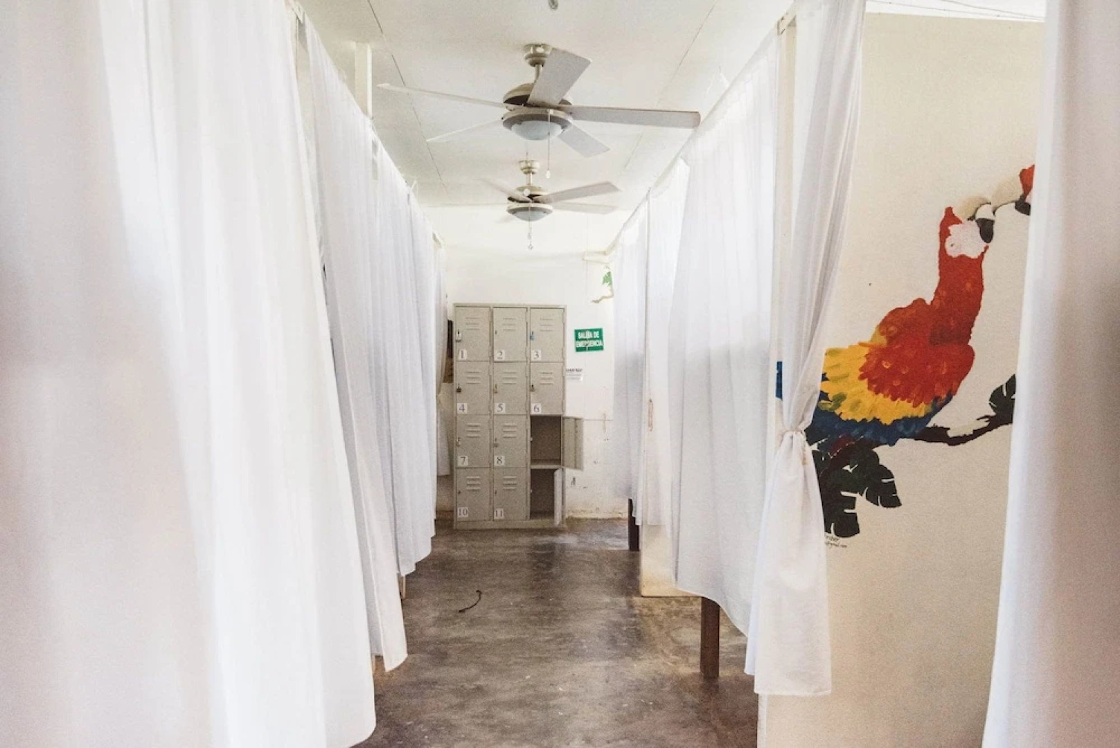 Drake Bay Backpackers