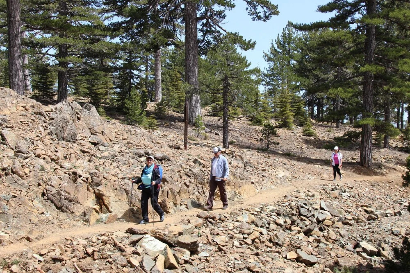 Isminis Petroktisto (Stonehouse)