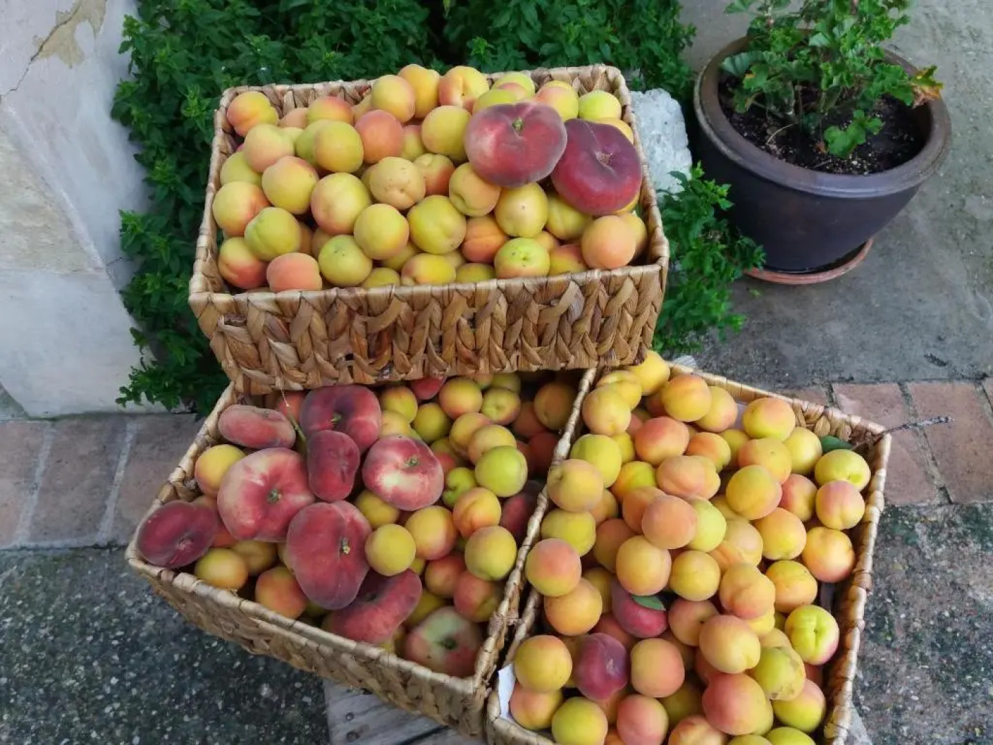 Casa Rural La Parra 1923 Requena