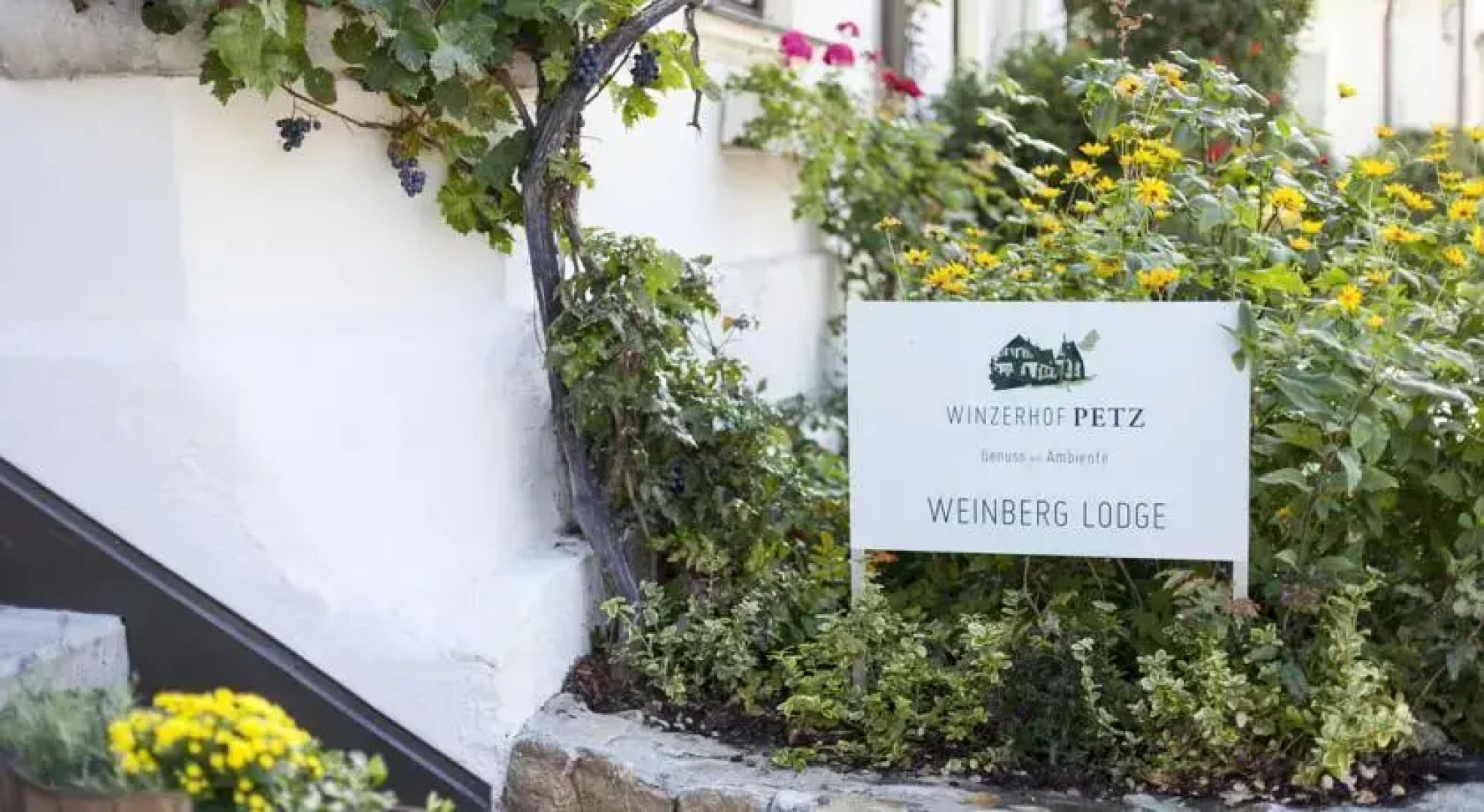 Winzerhof Petz - Weinberg Lodge