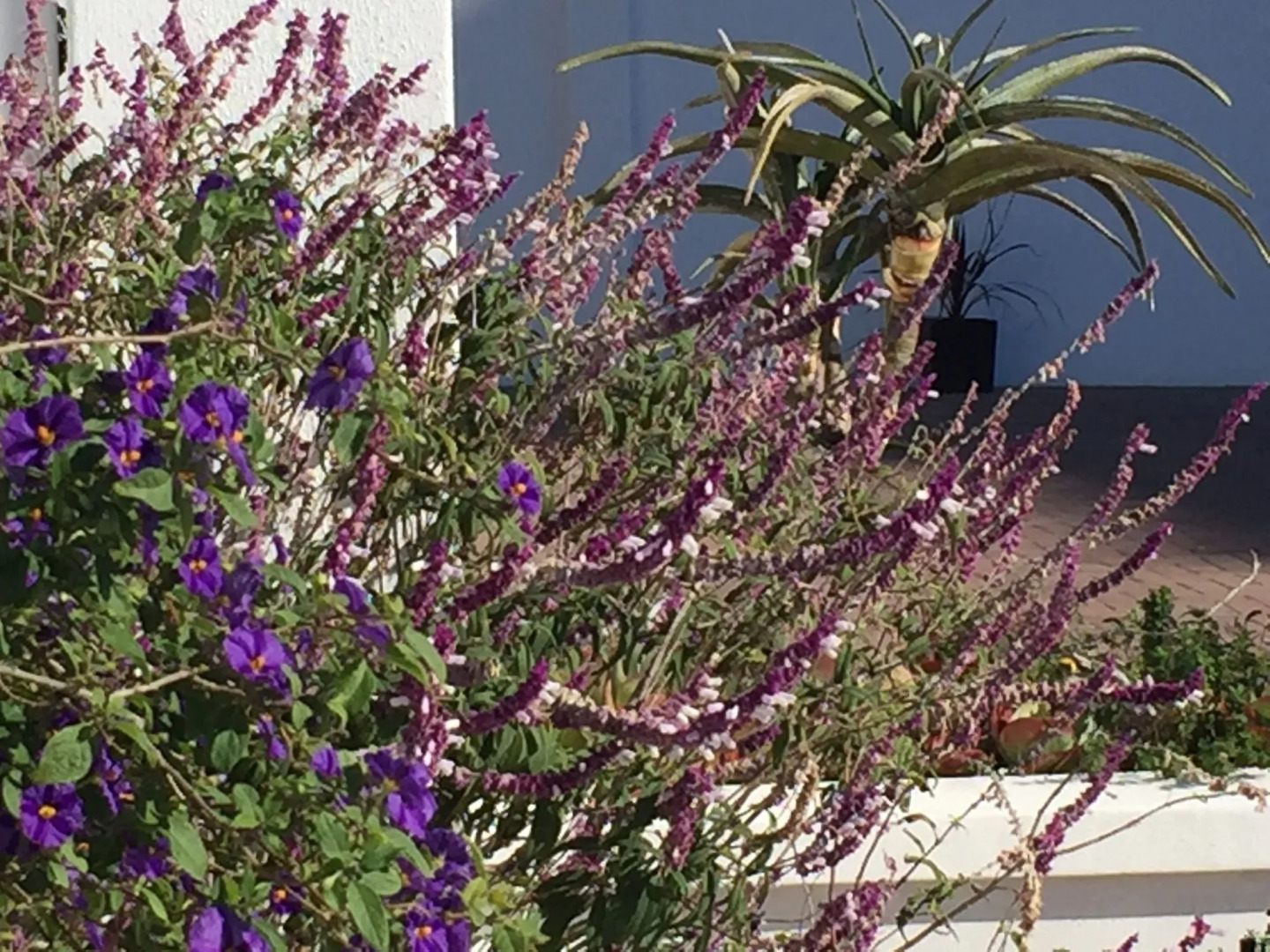 Abalone Place Guest House