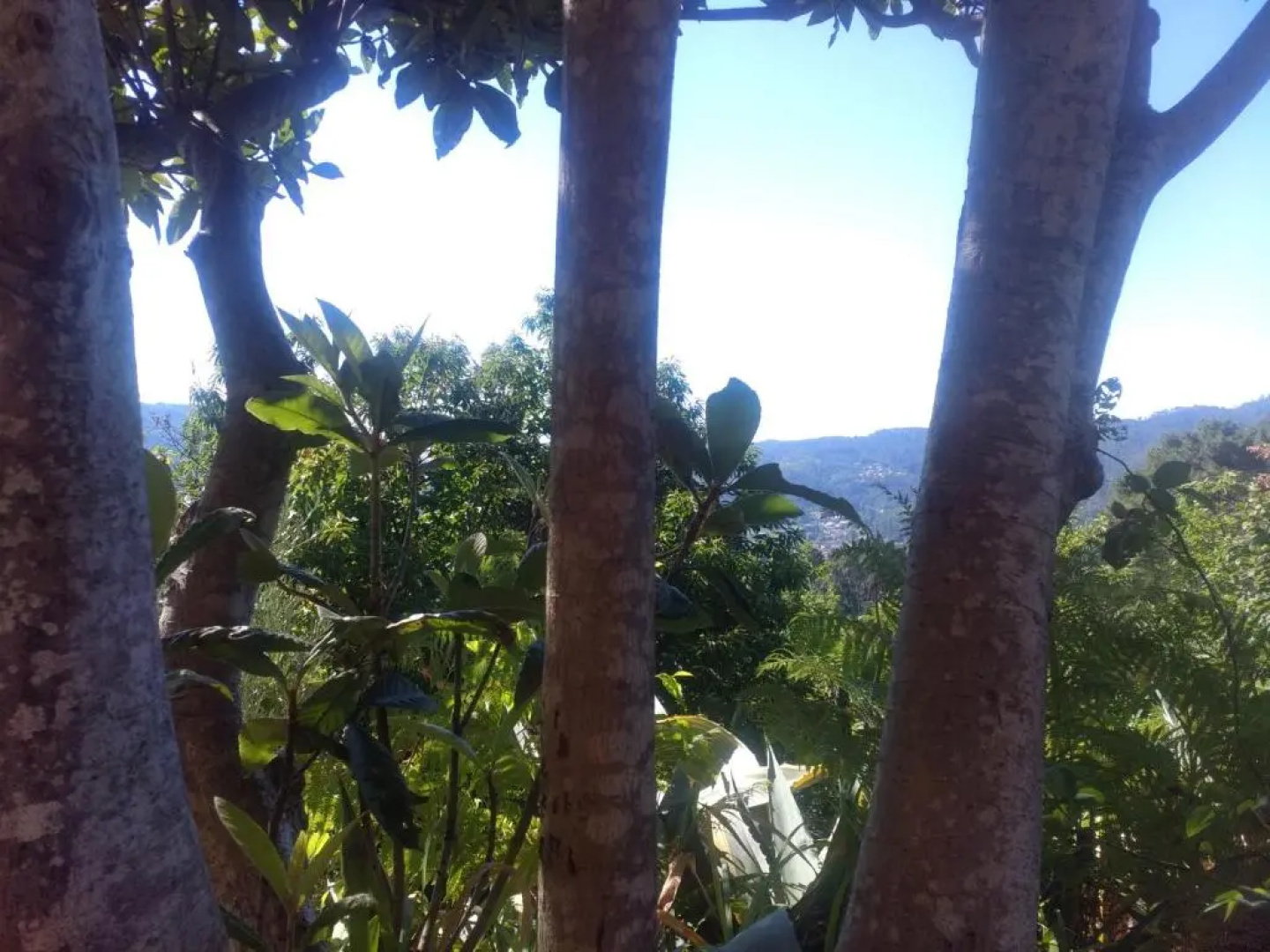 Les Jardins d'Arbousse