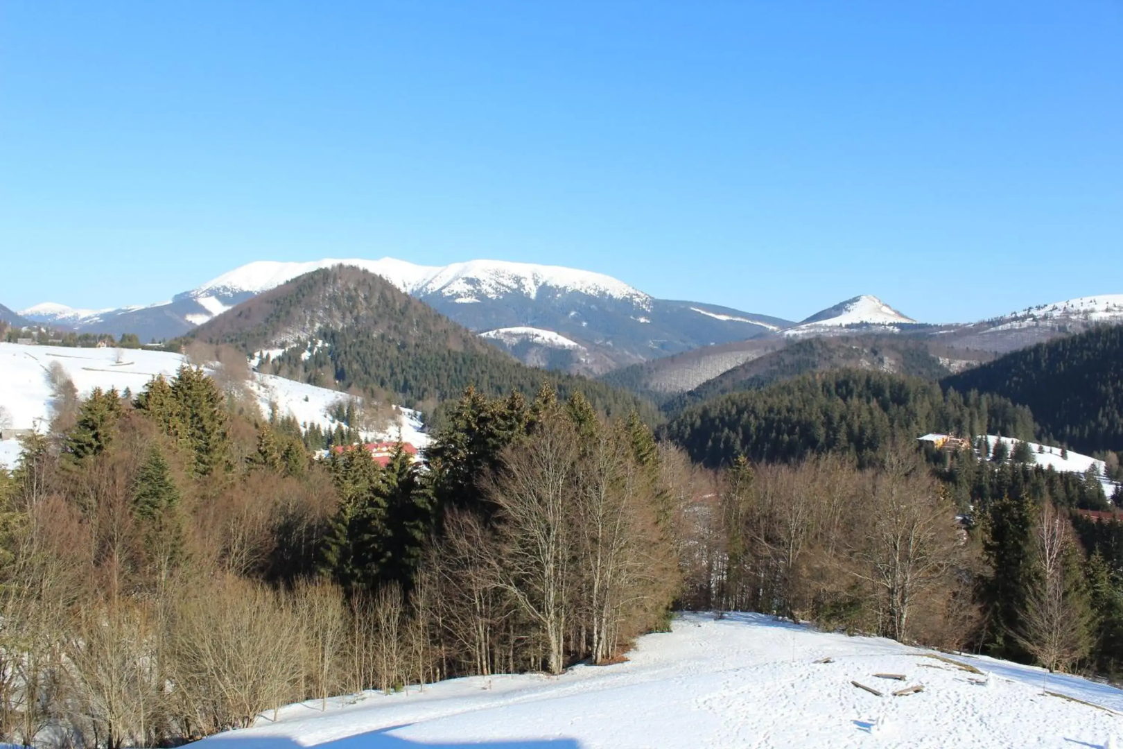 Apartman MARLEA