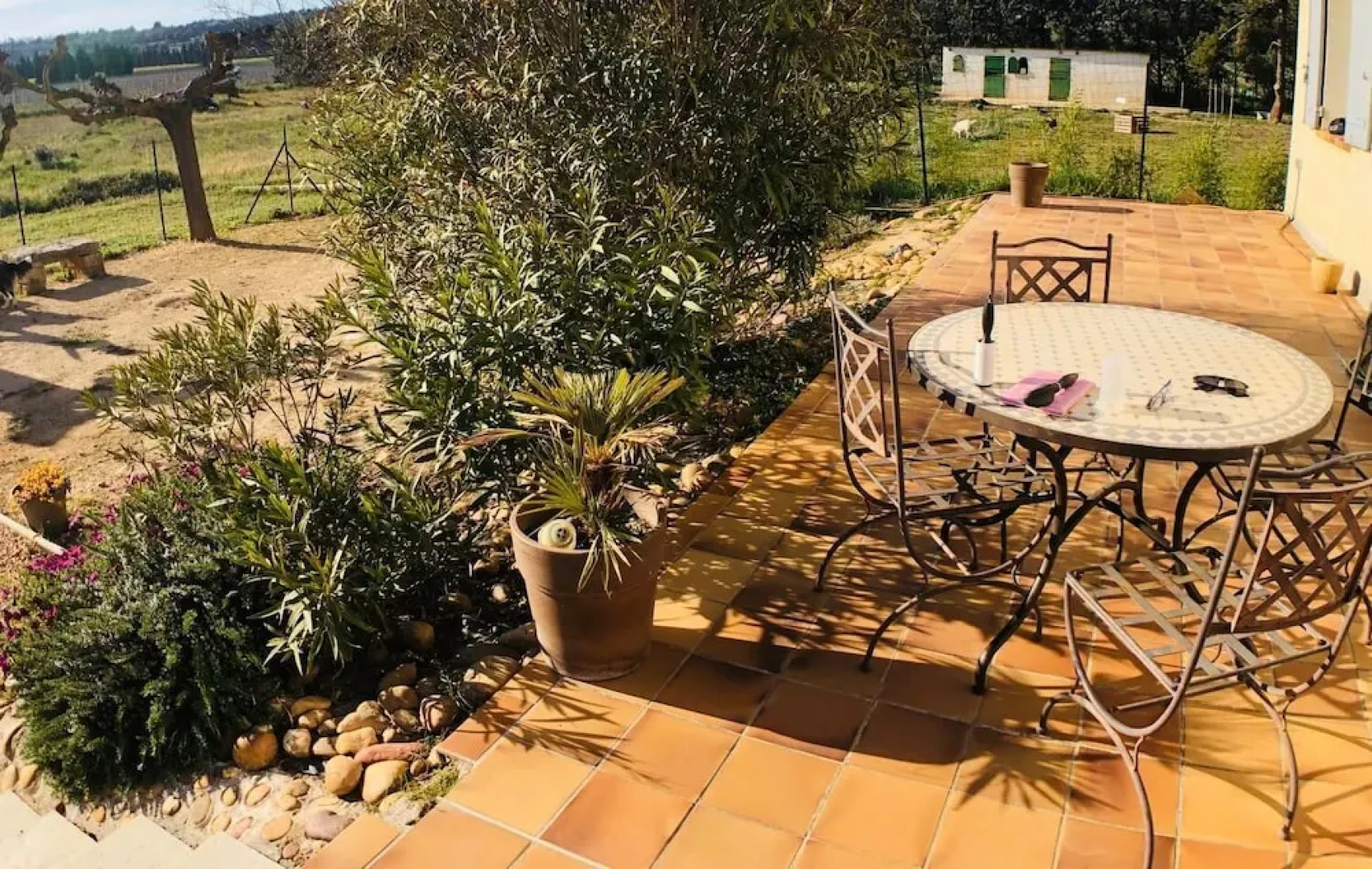 Le Cyprès de Casimir