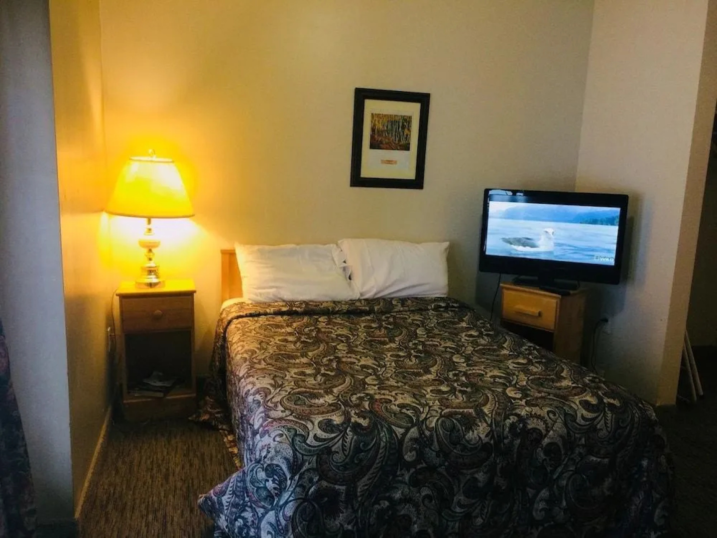 North Adventure Inn