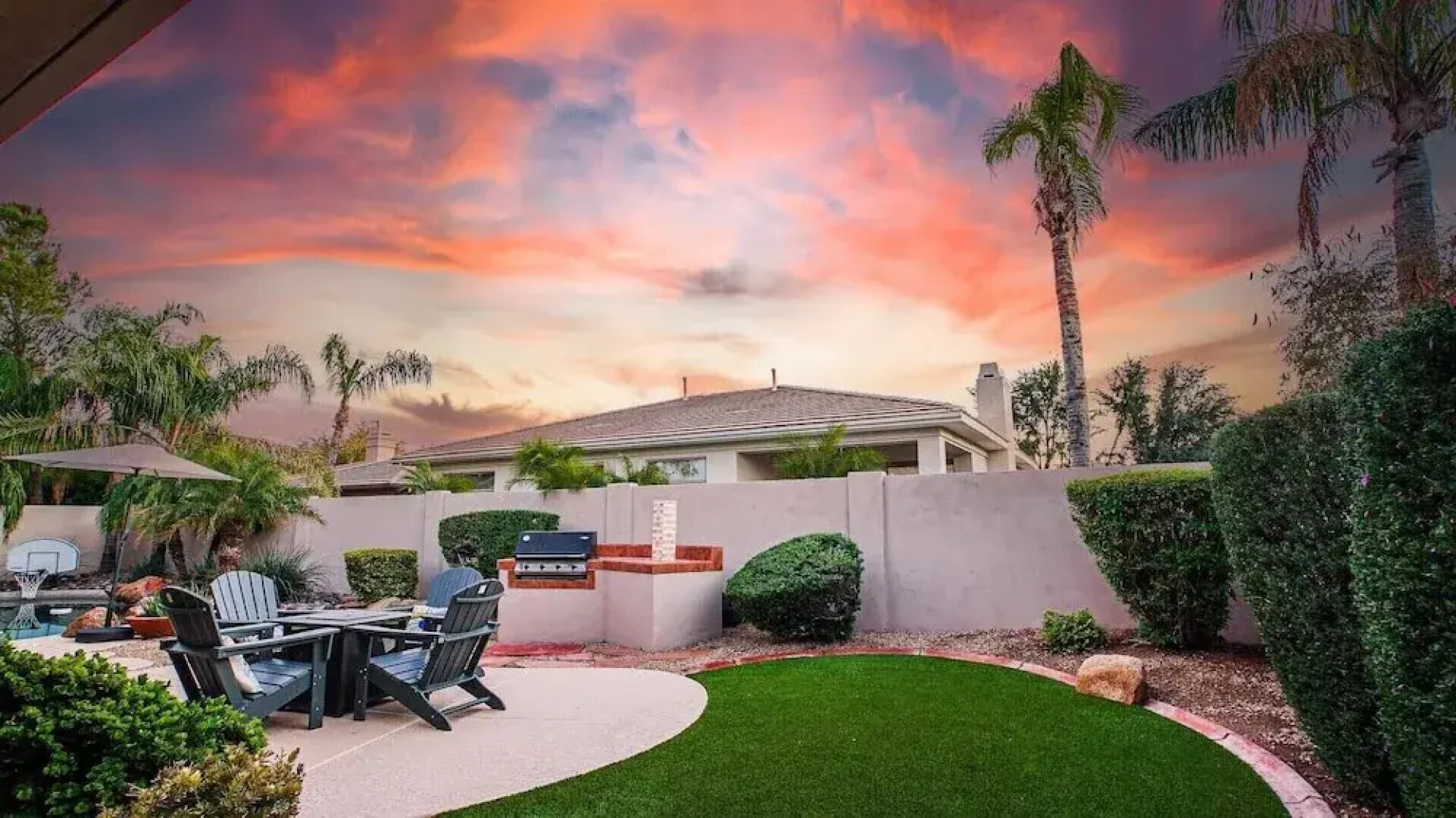 Lynx Chandler/ocotillo