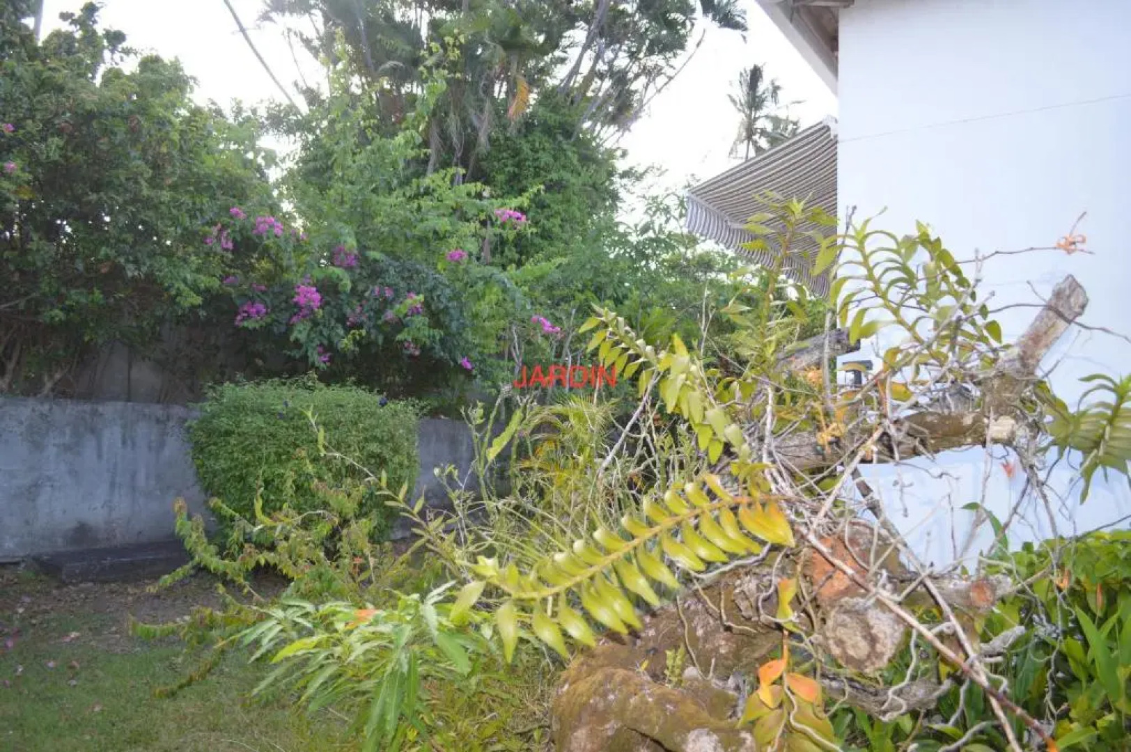 Maison Petit Paradis