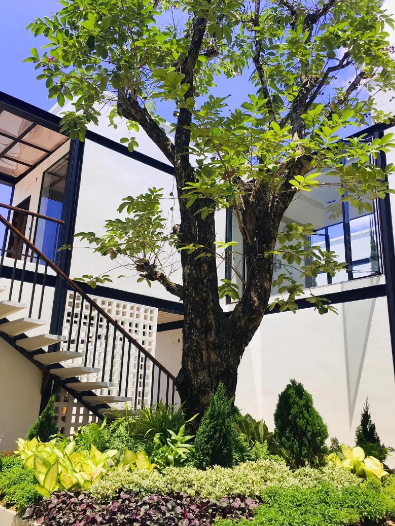 The Gold Living Life