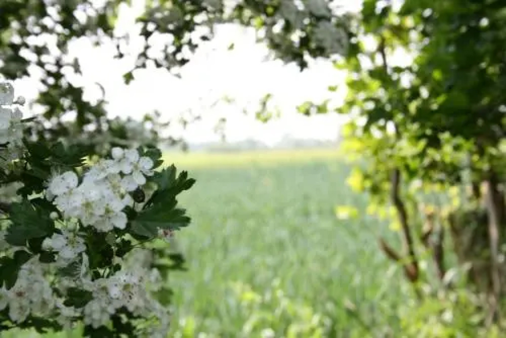 Hotel Alte Landschule