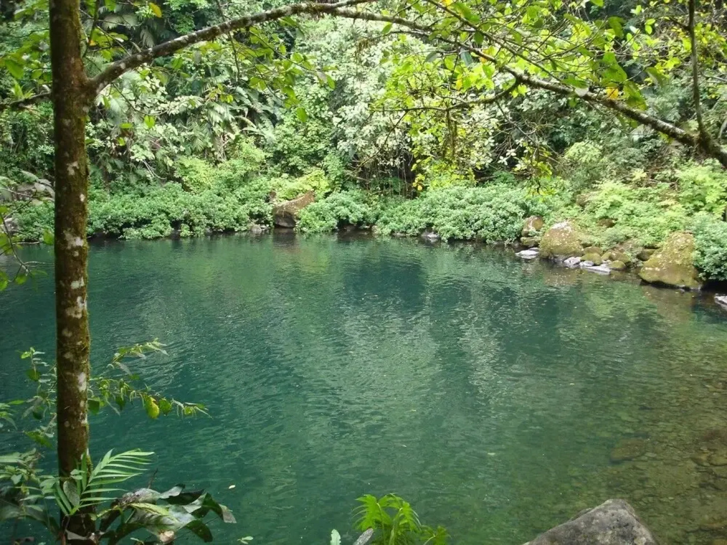 Poza Reyna Ecoreserva
